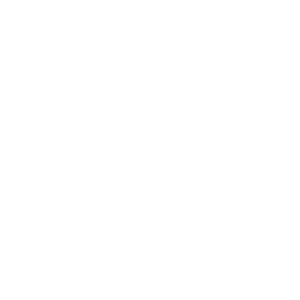 Workshop_Plan de travail 1